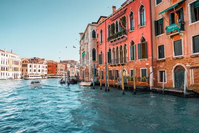Visiting Venice with young kids - family travel in Italy - MUMMYTRAVELS