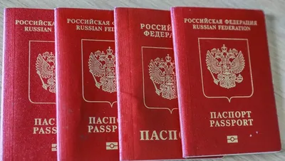 Источник рассказал о необходимых документах на визу в Германию для россиян  - РИА Новости, 18.10.2022