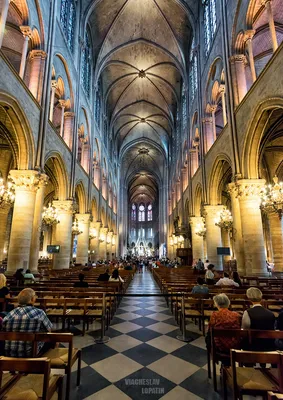 Фото внутри собора парижской богоматери фотографии