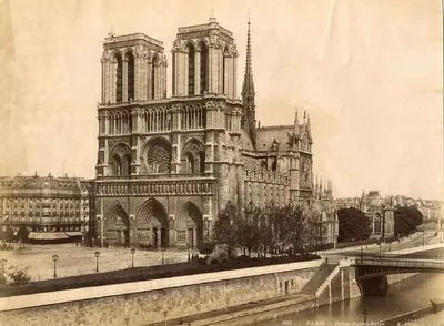 Фотофакт. Как сейчас выглядит собор Парижской Богоматери изнутри