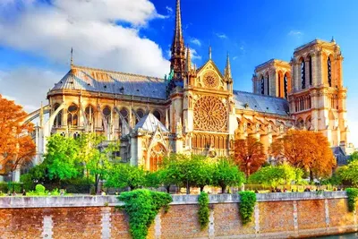 Восстановление собора Парижской Богоматери | «Между ветвями» | Tigercat