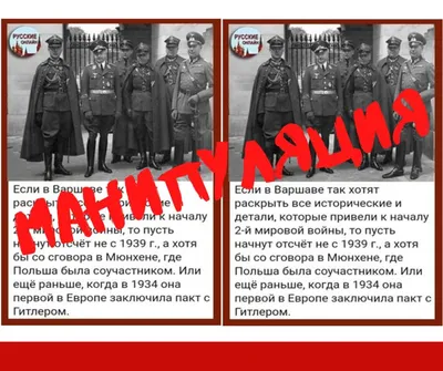 Манипуляция: Польша пытается переписать историю Второй мировой войны -  Delfi RU