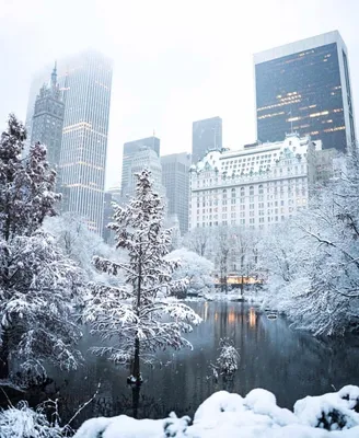 Зимний нью йорк обои - 63 фото