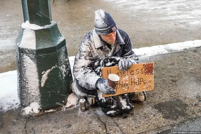 Снеговики в масках и снежный король Манхэттена: красота зимнего Нью-Йорка –  фоторепортаж | Новости Украины | LIGA.net