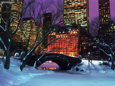 Снегопад и коллапс в Нью-Йорке. — DRIVE2