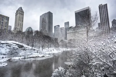 Зимний Нью-Йорк (8 фото)