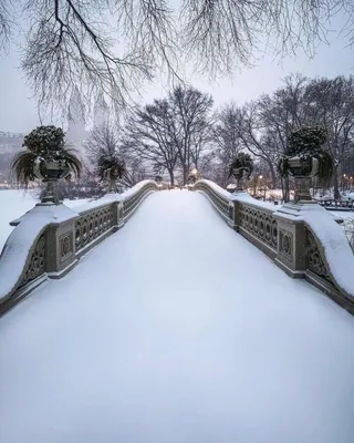 Пазл «Зима в центральном парке Нью Йорка» из 192 элементов | Собрать онлайн  пазл №14871