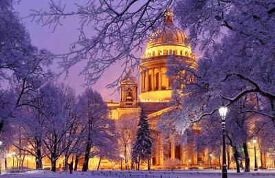 Куда сходить в Петербурге зимой – Питер Online