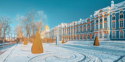 Новогодние праздники в Санкт-Петербурге: куда сходить и что посмотреть |  Большая Страна