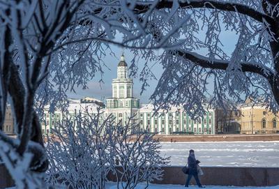 Отдых в Санкт-Петербурге зимой 2024—2025: что посмотреть, куда сходить,  какая погода, стоит ли ехать