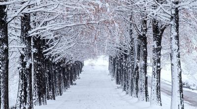 Санкт-Петербург фото.Зима-осень