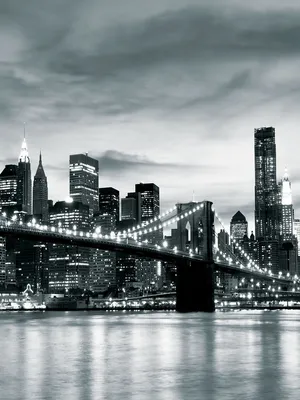 Фотообои Бруклинский мост солнечным днем в Нью Йорке купить в Москве, Арт.  9-824 в интернет-магазине, цены в Мастерфресок