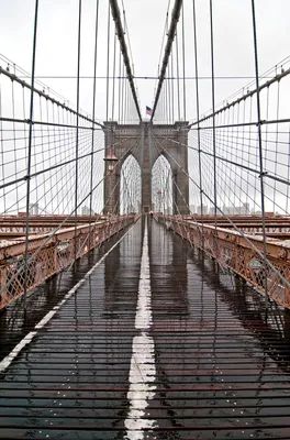 Популярные фотообои город 254x184 см Нью-Йорк и Бруклинский мост  (3023P4)+клей купить по цене 850,00 грн