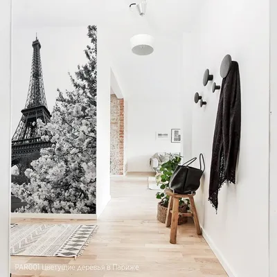 Фотообои Цветущие деревья в Париже купить недорого в компании Cozy House в  СПб
