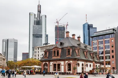 Франкфурт: главная башня с билетами и экскурсией по Старому городу |  GetYourGuide