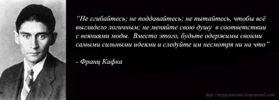 Портрет Франц Кафка в линии иллюстрации искусства Редакционное Фотография -  иллюстрации насчитывающей франц, выгравировано: 138585957