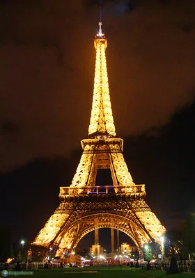 Скачать обои париж, франция, эйфелева башня, paris, france разрешение  2560x1600 #43346