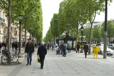 Елисейские Поля в Париже сделают более экологичными и инклюзивными к 2030  году | BURO.