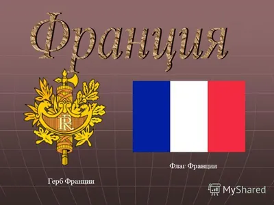 Елисейский дворец внёс изменения в герб Франции | SLON