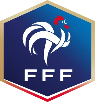Сборная Франции по Футболу - Организация