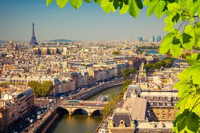 Отдых во Франции в 2024 году: что посмотреть, когда ехать и как добраться,  цены