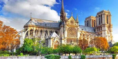 Франция собор парижской богоматери фото фотографии