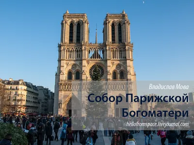 Собор Парижской Богоматери, Париж, Франция | Соборы, Париж, Путешествия