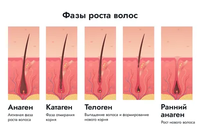 РЕСНИЦЫ БРОВИ СУРГУТ +7 922 254-22-22 | ВКонтакте