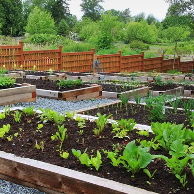 🍓 Французский огород: идеи, которые украсят ваш сад 🥬 ⠀ 💭Рубрика: Идеи  от @greengo_landscaping ⠀ ⏰Время чтения: 1 минута ⠀ Огород…… | Instagram