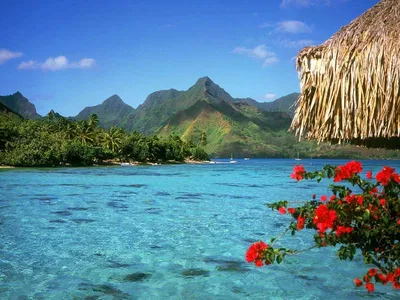 Французская Полинезия - О стране | Болеро Тур