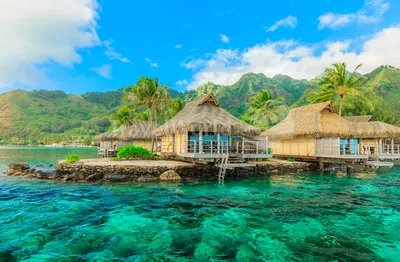 Рубрика: Французская Полинезия (Фр.) | TravelWorld
