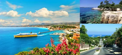 Французская Ривьера (French Riviera), отдушки для свечей, купить в Шымкенте  и Туркестане | Candlescraft.kz