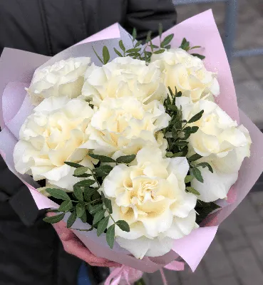 Французская роза розовая — Каталог цветов: Прекрасная-садовница.БЕЛ