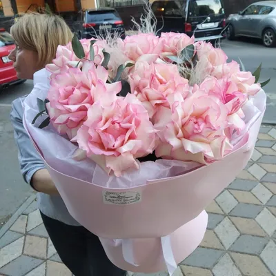 Роза \"французская\" розовая купить в Гродно: доставка, цена