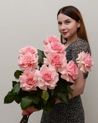 Купить Розовая Французская Роза (поштучно) с доставкой по Минску и Беларуси