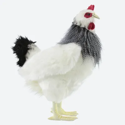 Купить реалистичная мягкая игрушка Hansa Creation Курица французской  породы, 38 см, цены на Мегамаркет