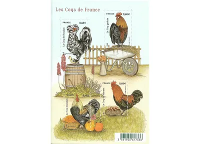 Цыпленок француз - куры с французской родословной» — создано в Шедевруме