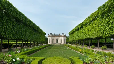 Французские сады фото фотографии
