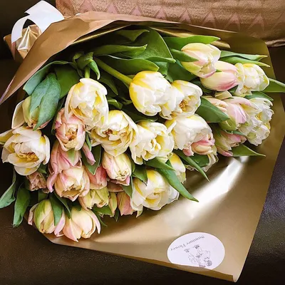 Французские тюльпаны 6 шт./букет, искусственные цветы для дома, свадьбы,  украшения для творчества, шелковые белые тюльпаны, цветы для рук, новый  домашний декор | AliExpress