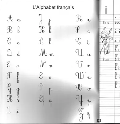 Алфавит французского языка Французский алфавит состоит из 26 букв латинской  письменности. Французский алфа… | Французский алфавит, Алфавит, Французский  язык