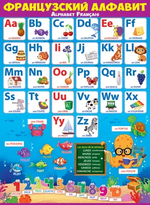 Французский алфавит: 32 цветные карточки со стихами и таблицами.  Методическое сопровождение образовательной деятельности – купить по цене:  139,50 руб. в интернет-магазине УчМаг