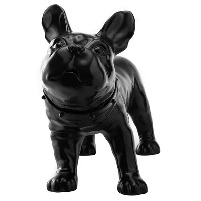 Милый забавный черный чистокровный французский бульдог, портрет, городская  собака, усыновляющая животных, спасающих жизни | Премиум Фото