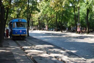 В Одессе на месяц перекроют Французский бульвар – в связи с ремонтом |  Новости Одессы