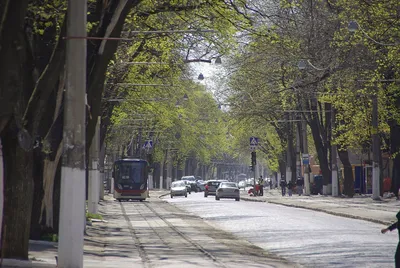 Французький бульвар — Вікіпедія