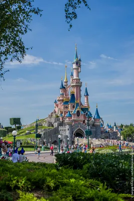 В Disneyland Paris приехало в два раза больше российских туристов |  Ассоциация Туроператоров