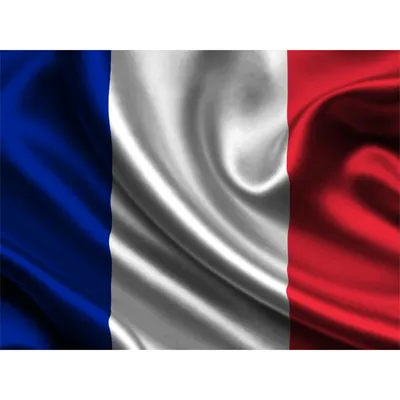 Notebook: French flag drapeau français bandera francesa 法国国旗 Французский  флаг