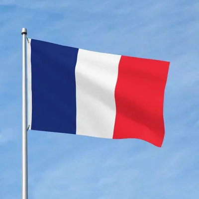 Французский флаг Франции Lite Weave Series, Печатный полиэстер, флаг  страны, яркие цвета, латунные кольца для внутреннего и наружного декора