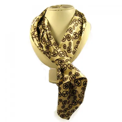 Французский галстук стоковое изображение. изображение насчитывающей  экономия - 47450141