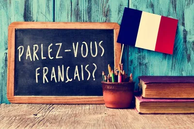 Французский язык. Второй иностранный язык. 9 класс. Учебник