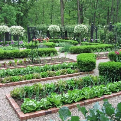 Французский огород стоковое изображение. изображение насчитывающей европа -  28141741